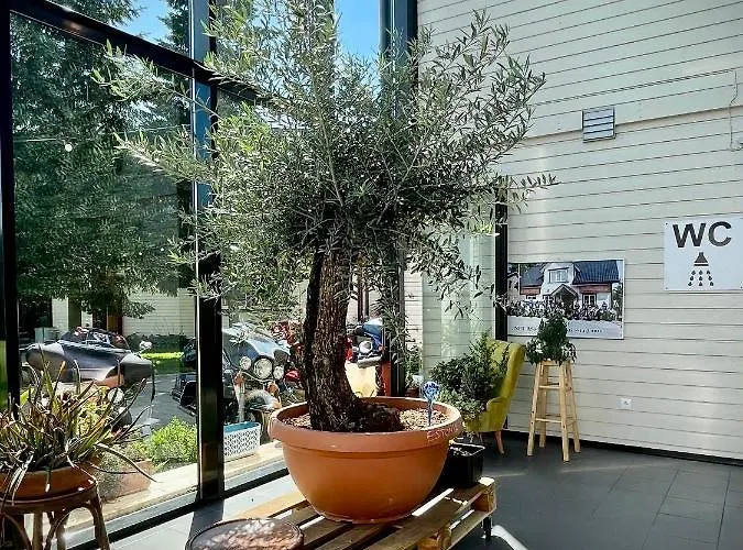 Aleksandri Inn Parnu